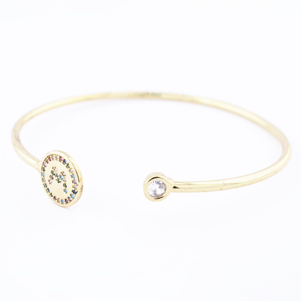 BRAZALETE CHAPA GOLDEN RAINBOW